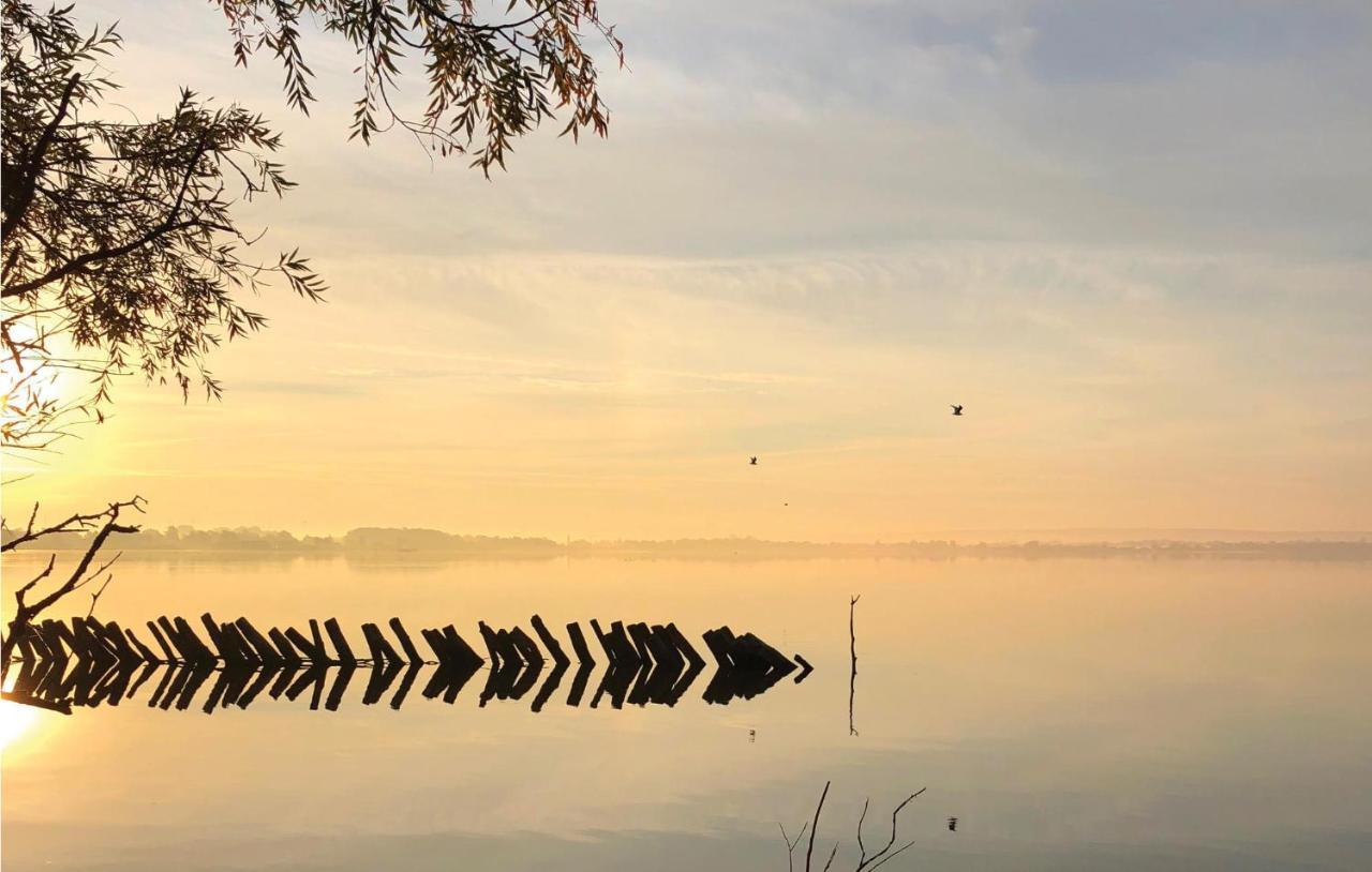 Stunning Home In Lembruch-Duemmer See With Wifi エクステリア 写真